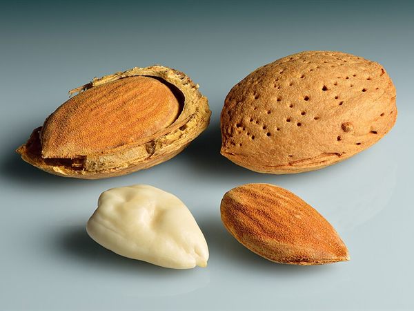 Cağla