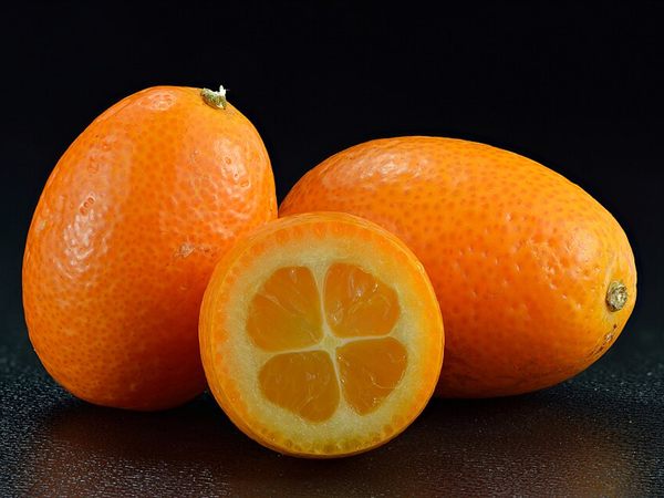 Kumkuat